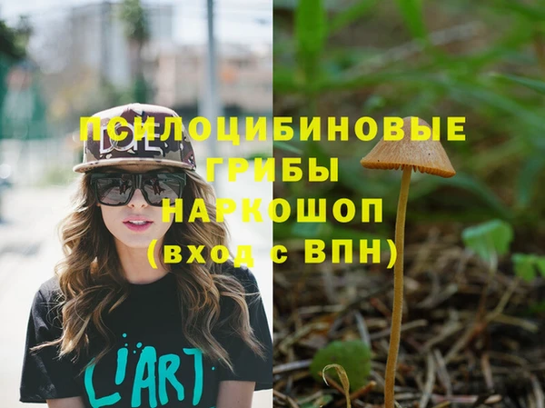 скорость Абинск