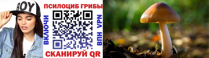 ОМГ ОМГ tor  продажа наркотиков  Шимановск  Псилоцибиновые грибы мухоморы 